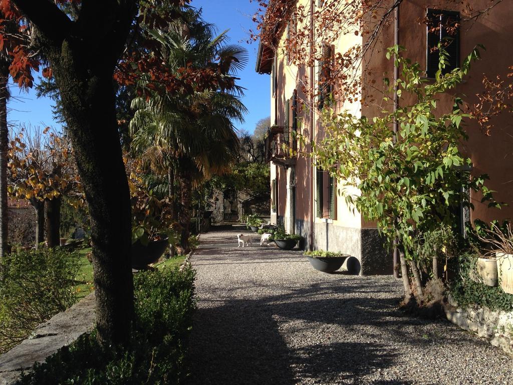 Antico Glicine B&B Maslianico Exterior photo